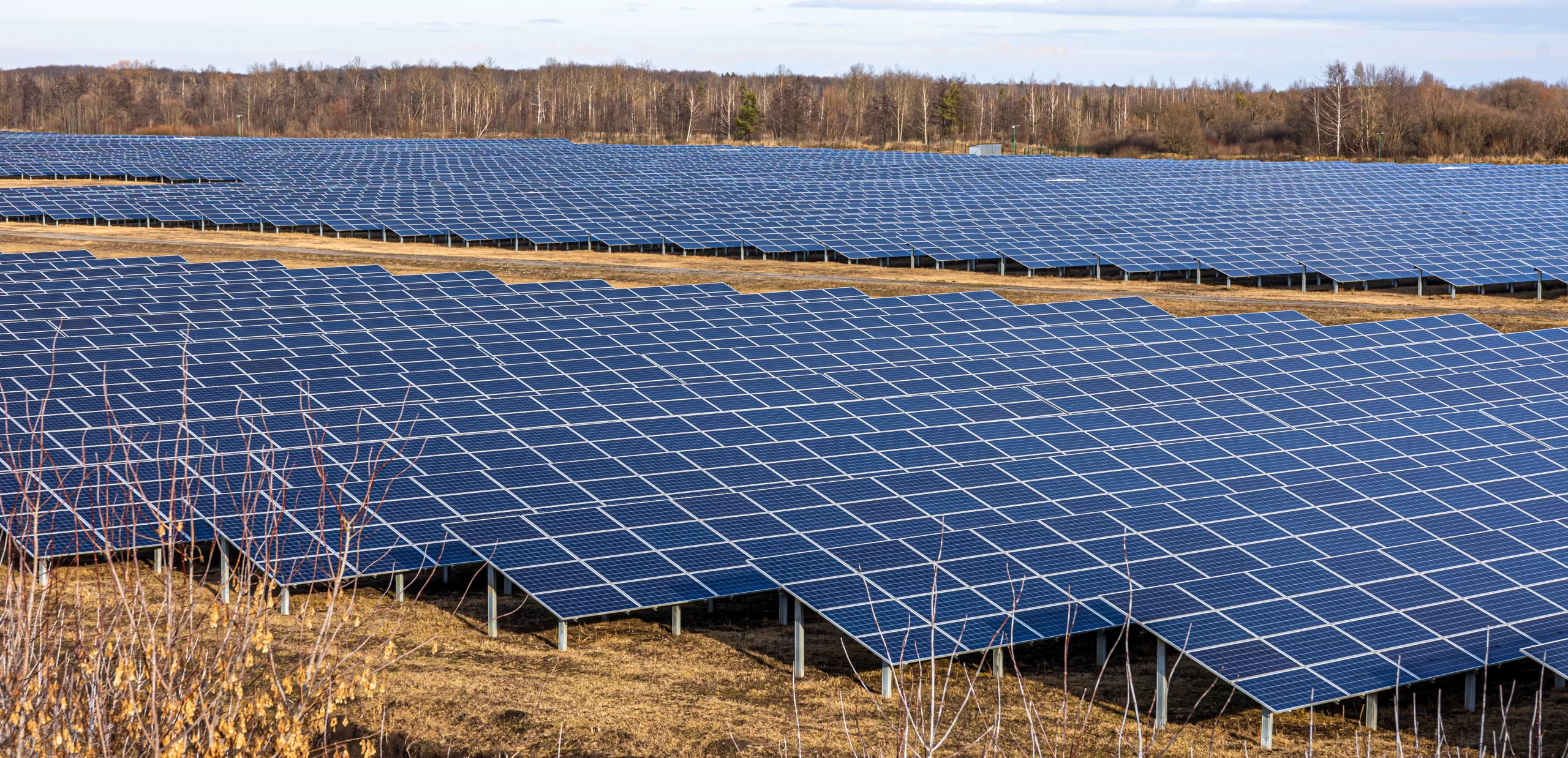 Large-Scale Solar Farms: Land Use, Environmental Impact & Community Engagement Large-Scale Solar Farms